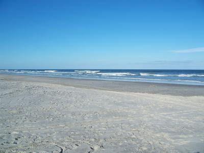 Jacksonville and St. Augustine State Parks: 10 Questions About $3–$8 Admission, Annual Passes and Savings